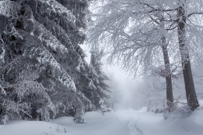 winter