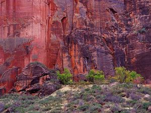 big-bend