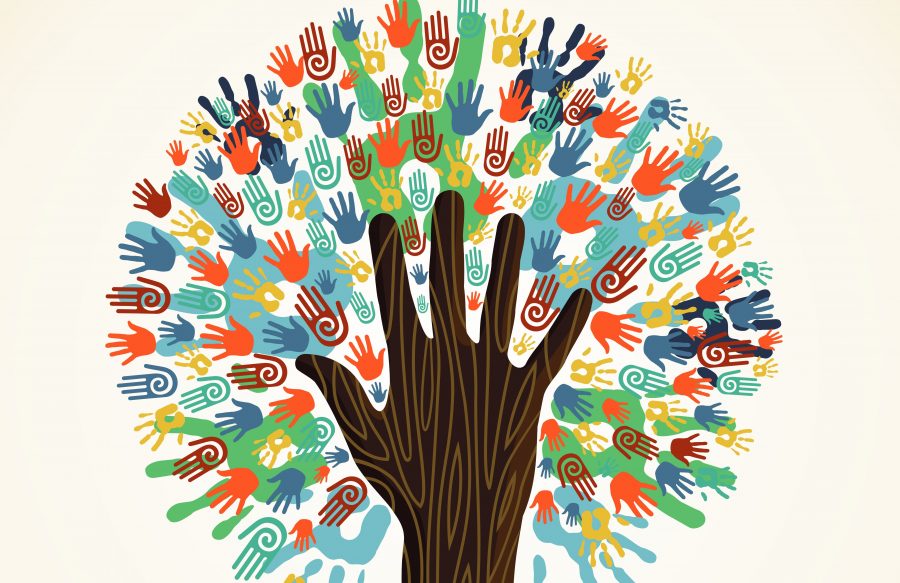 DiversityTree