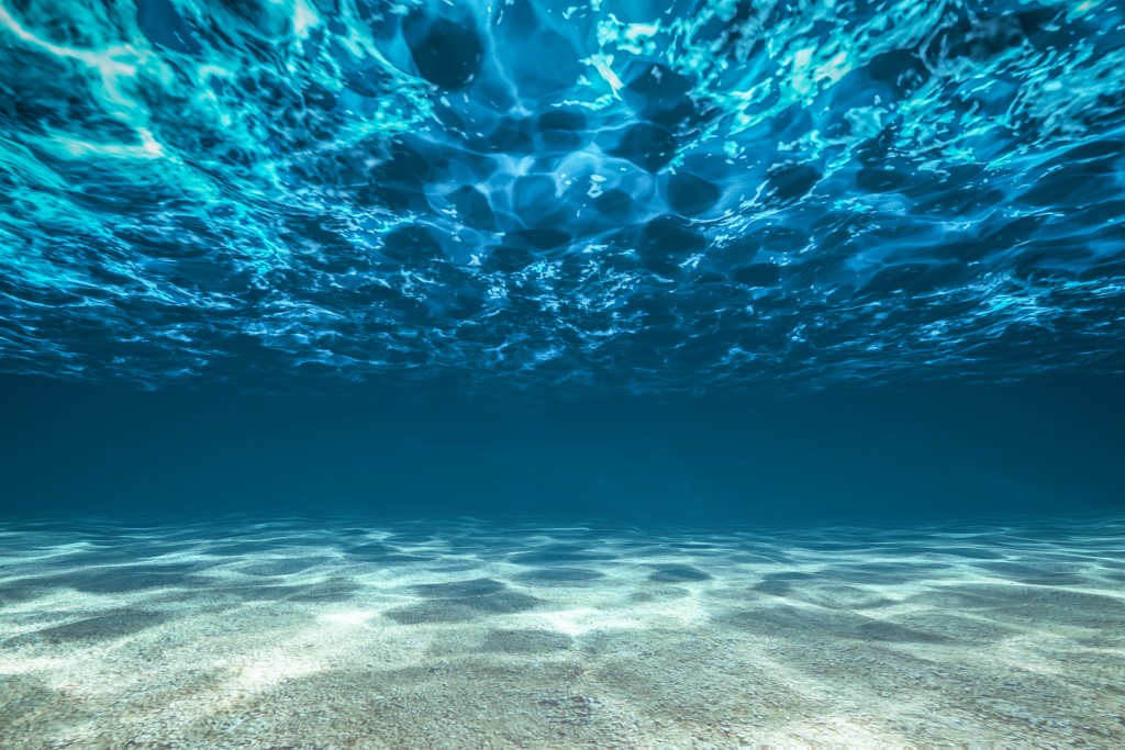 Ocean Bottom