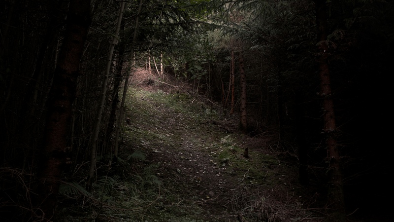 Image by sszdl via Flickr