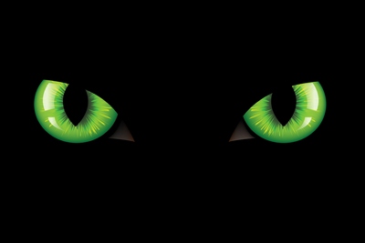 cat eyes