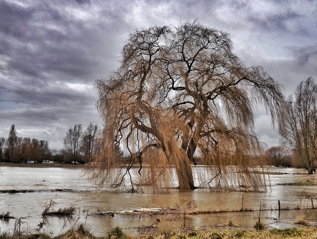 flood waters