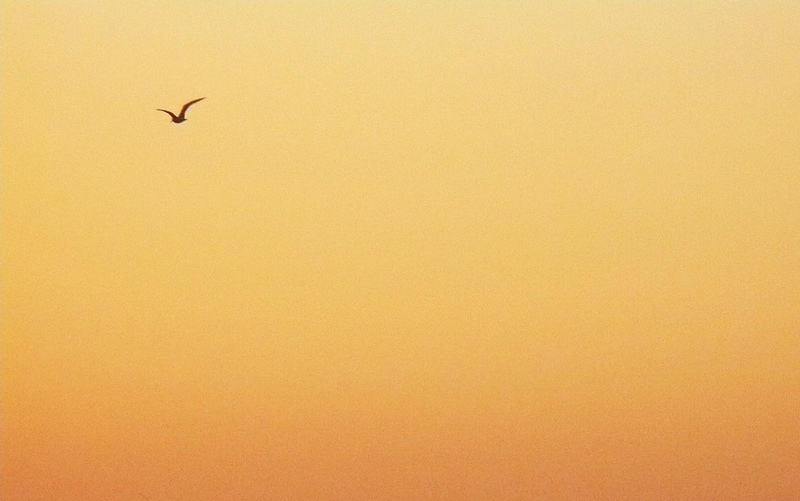 Image by *F῀ via Flickr