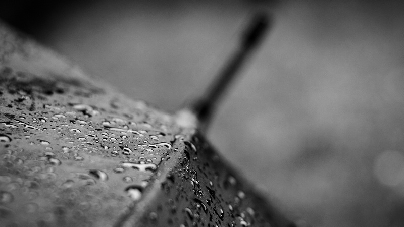 Image: Vlastimil Koutecký via Flickr