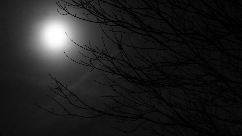Image: Russell Adams via Flickr