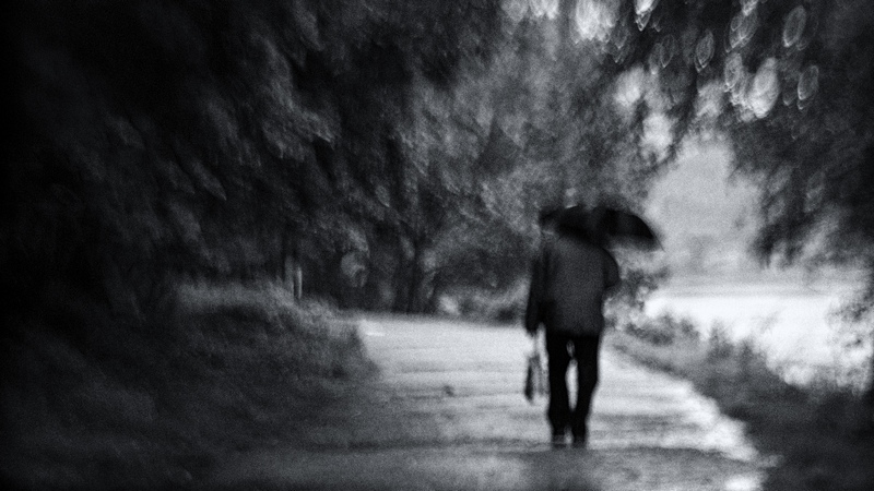 Image: Anne Worner via Flickr