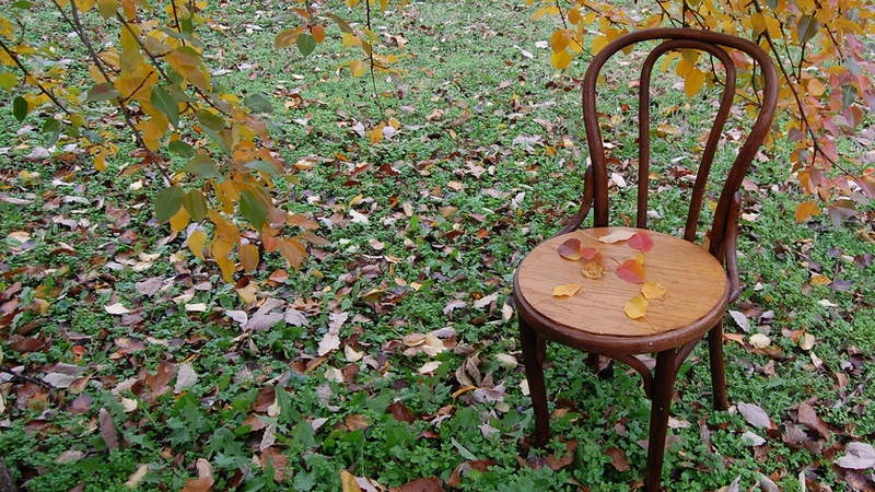 Image: LearningLark via Flickr (cropped)