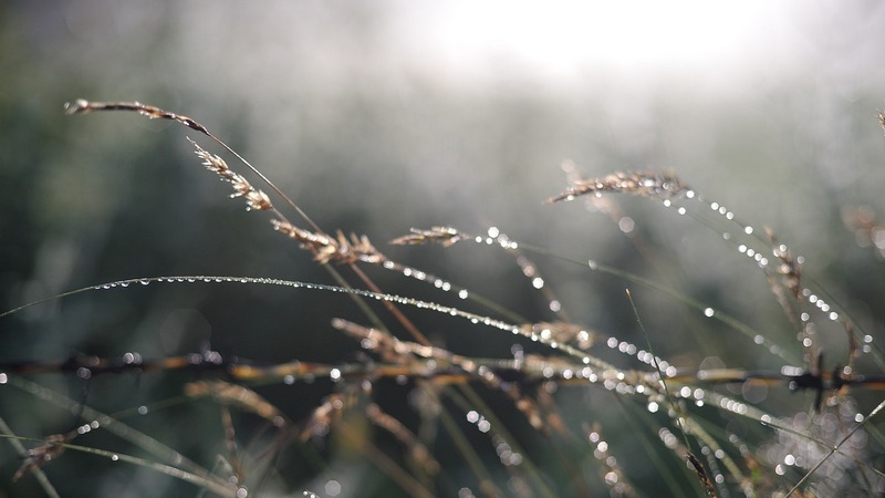 Image: Pixabay.com