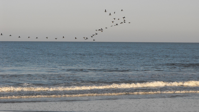 Image: U.S. Fish and Wildlife Service Northeast Region