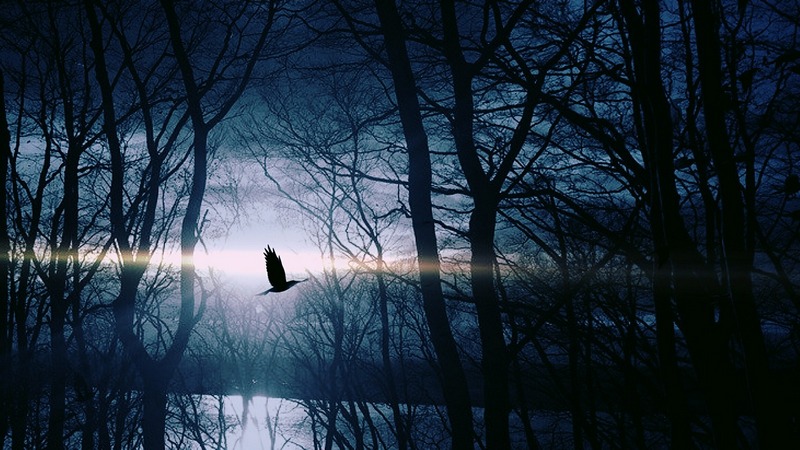 Image: Pixabay.com