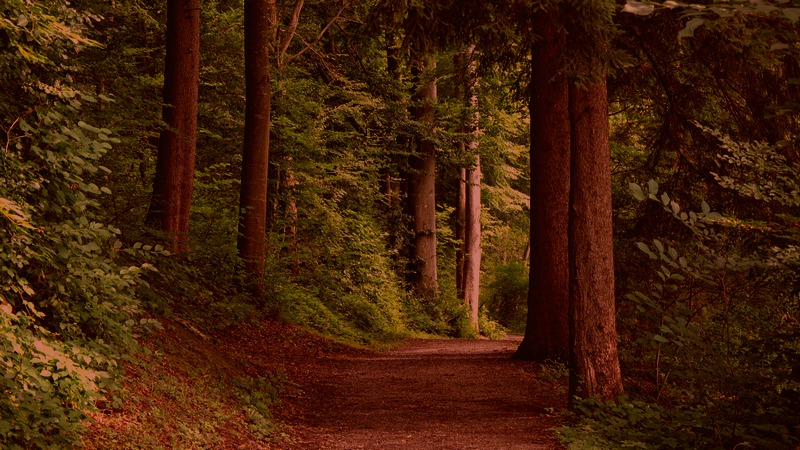 Image: Pixabay.com