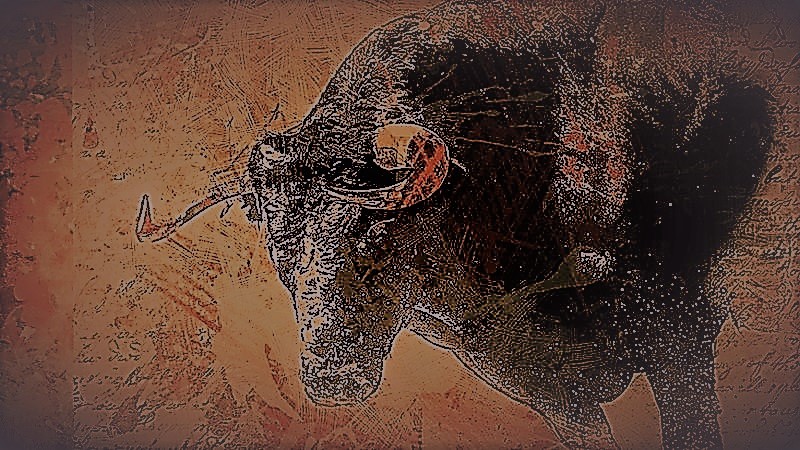 bullfight