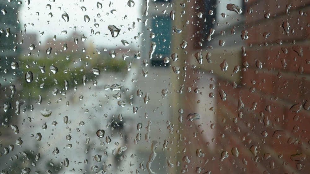 rain