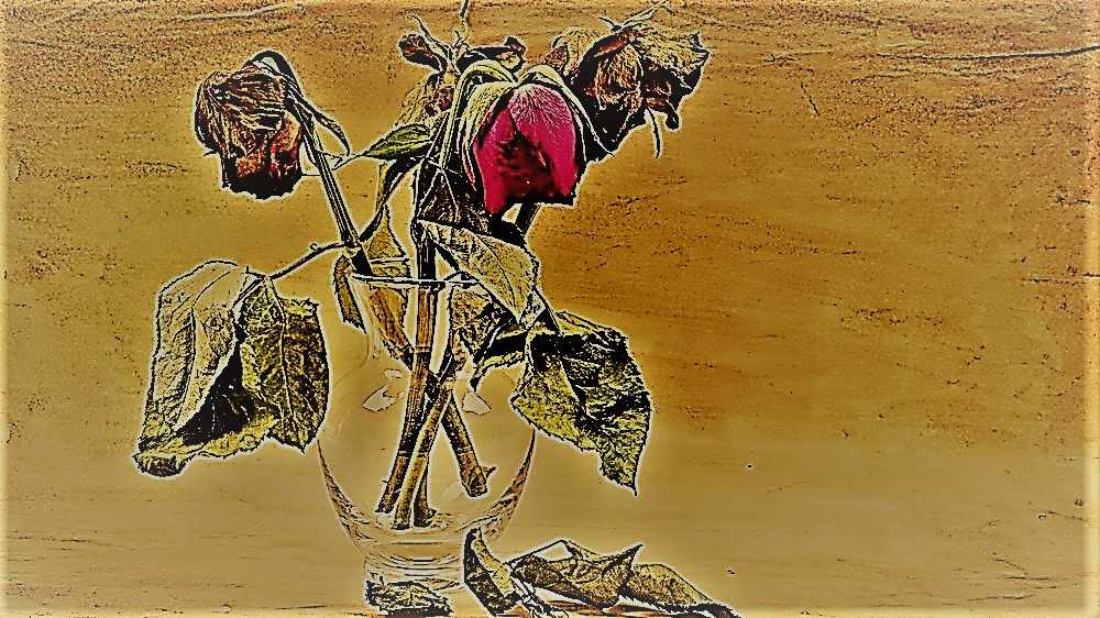 dead love