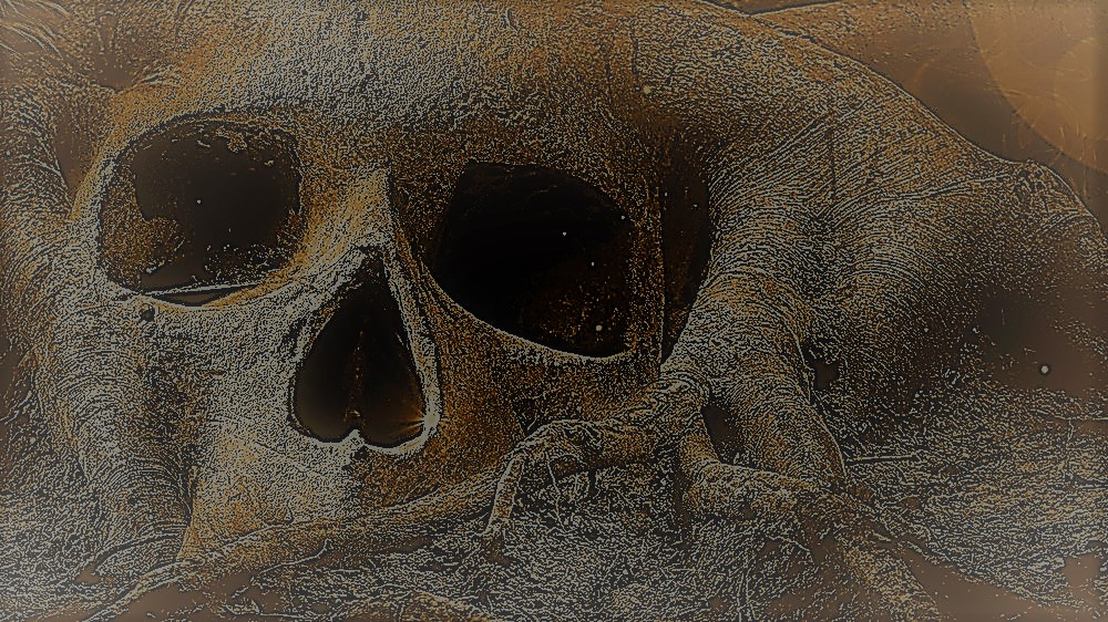skull