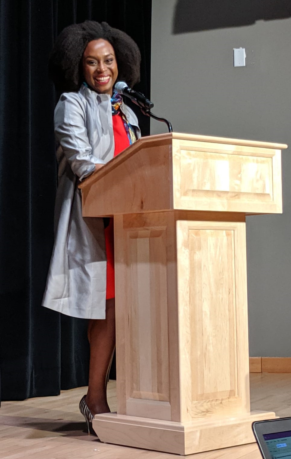 chimamanda Adichie